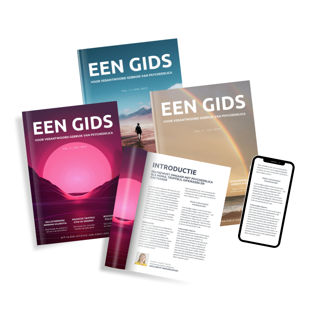 Groep gidsen over verantwoord gebruik psychedelica